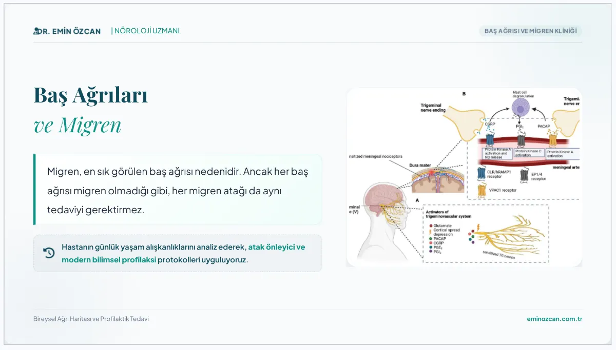 İstanbul Nöroloji Doktoru MS Uzman Prof. Dr. Emin Özcan
